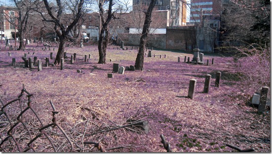 speer-cemetary-Jersey-city